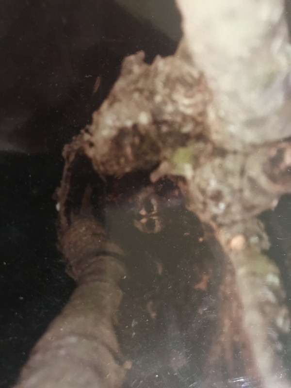 71C81753-42DD-4D02-9663-248CB7315FF9