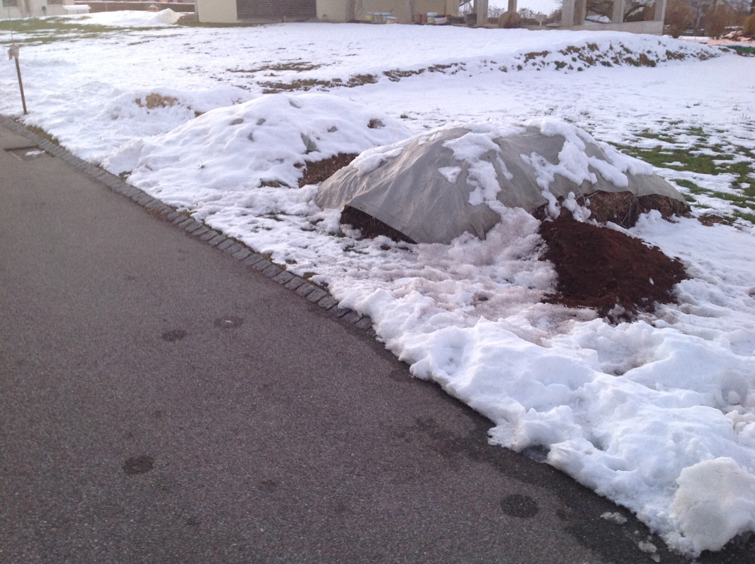 Kompost 2015 Feb (4)