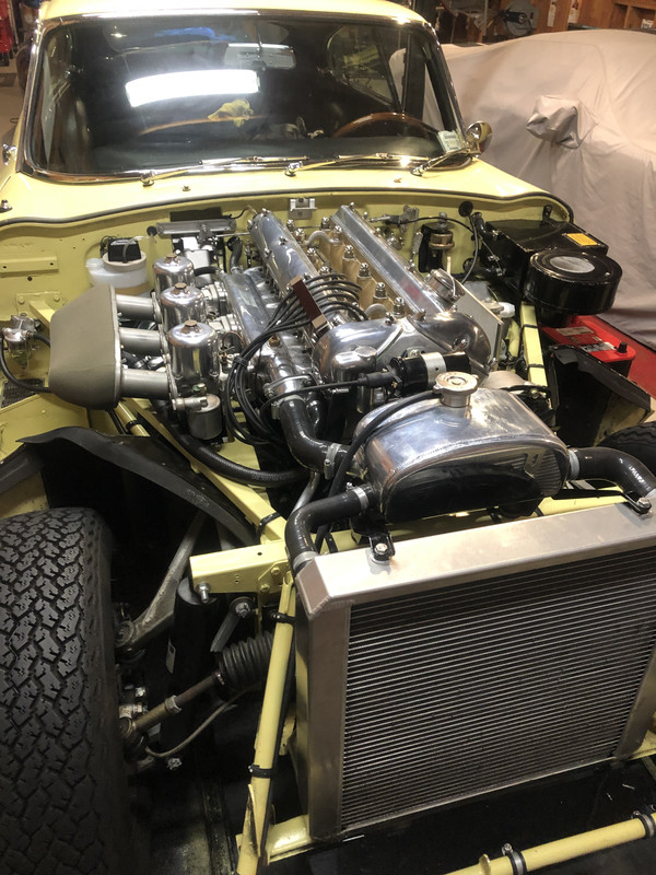 81FB3135-9C11-43EE-A0AA-050154A328C4