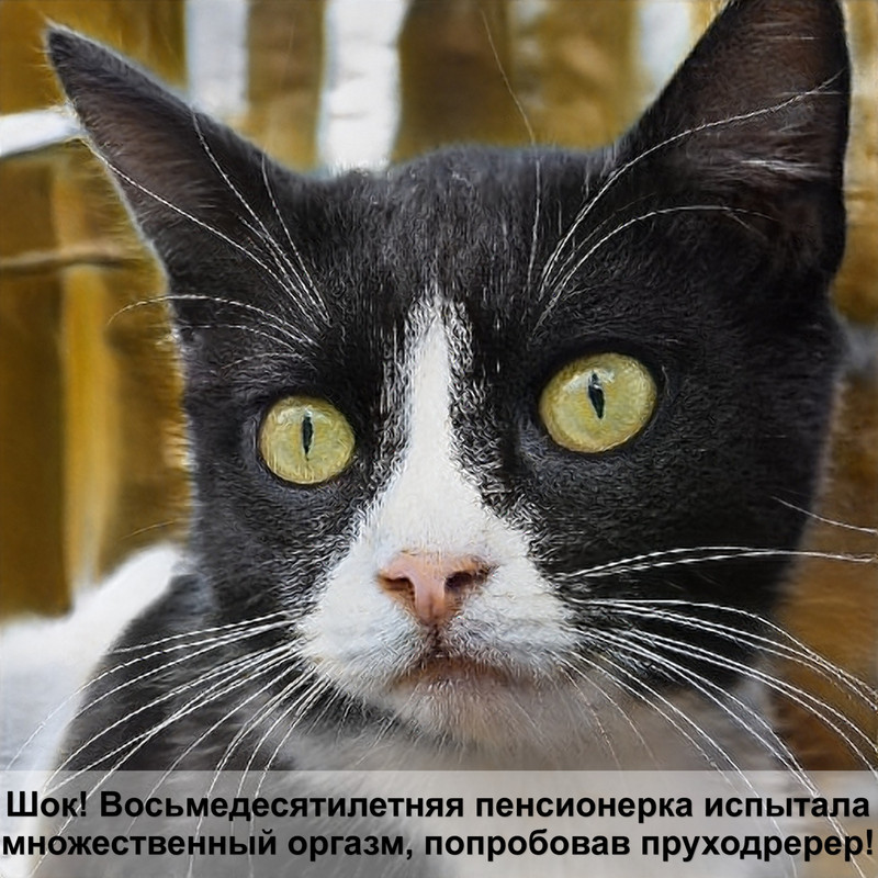 домик для кошки своими руками фото