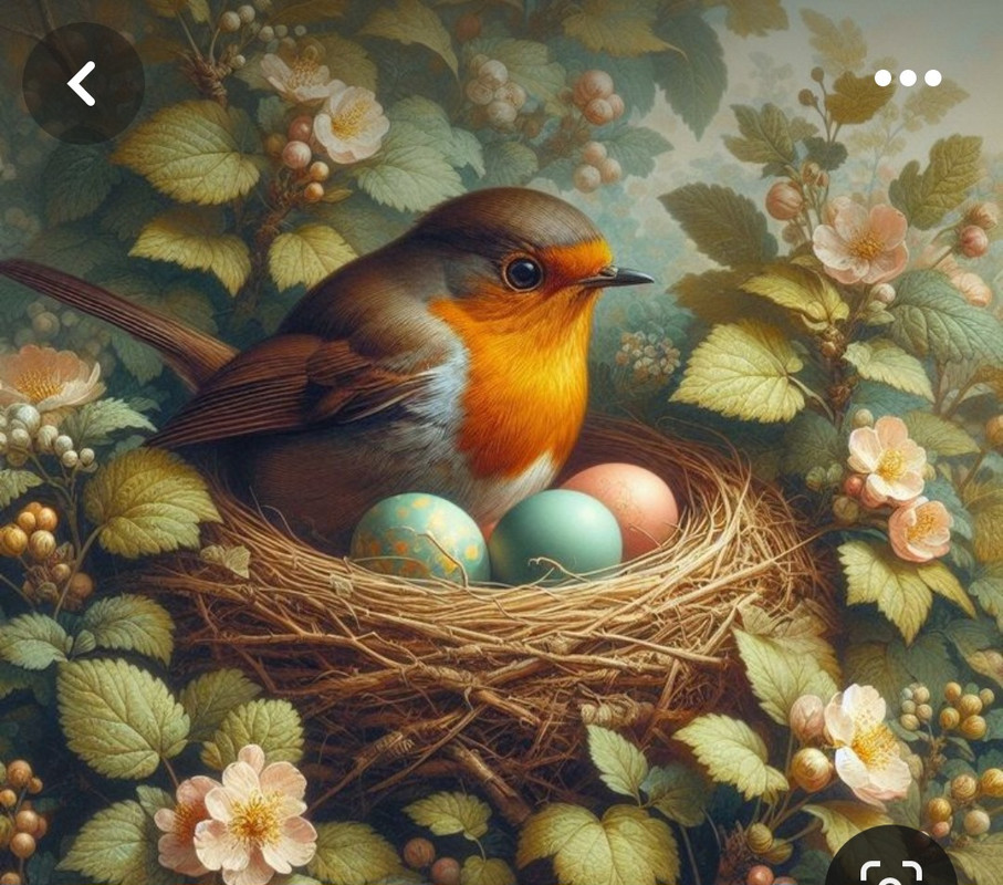 Screenshot_20240414_221359_Pinterest