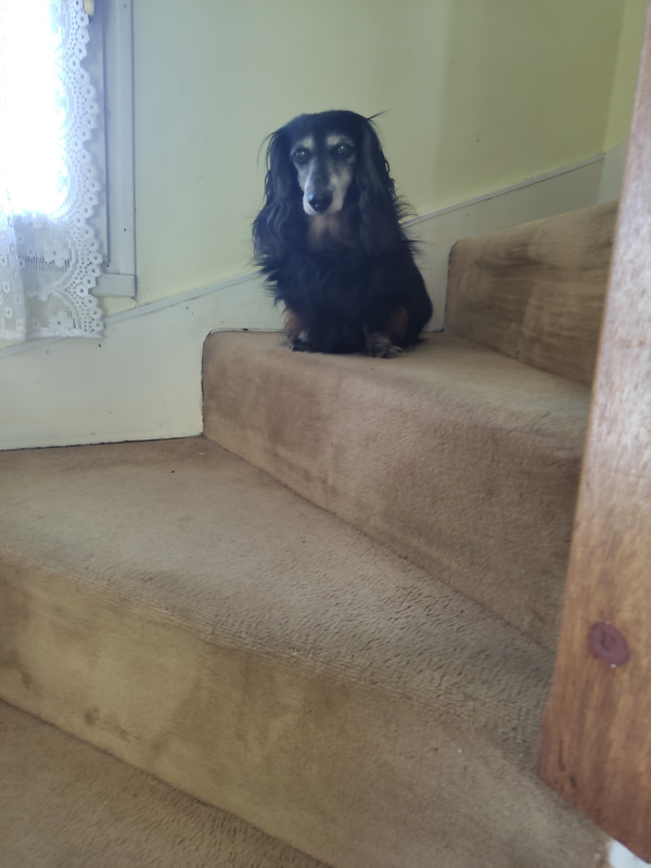 [Image: IMG-20230815-184350.jpg]