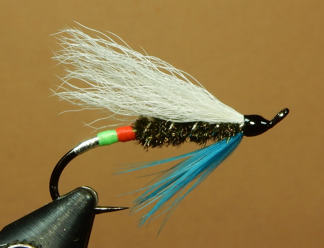 White-Wing-Blundertaker-1080.jpg