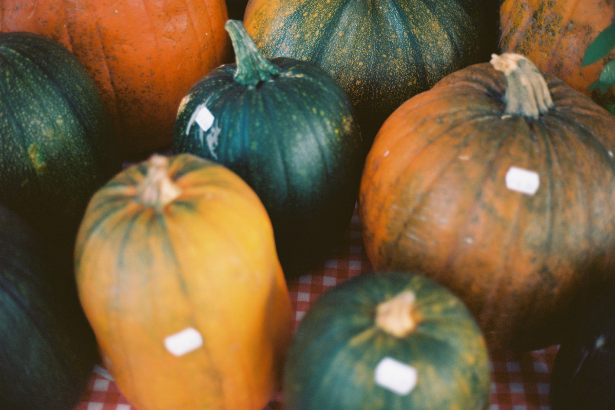 B9325198-D7B5-4E18-A071-FABDFA37A9EC