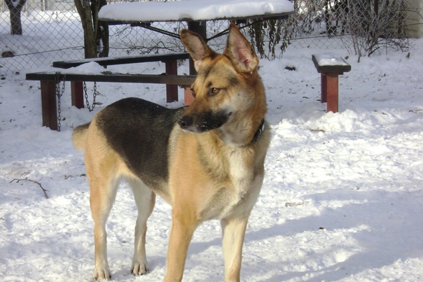 B94FBB11-6185-4631-A9DA-2DA687C9832E