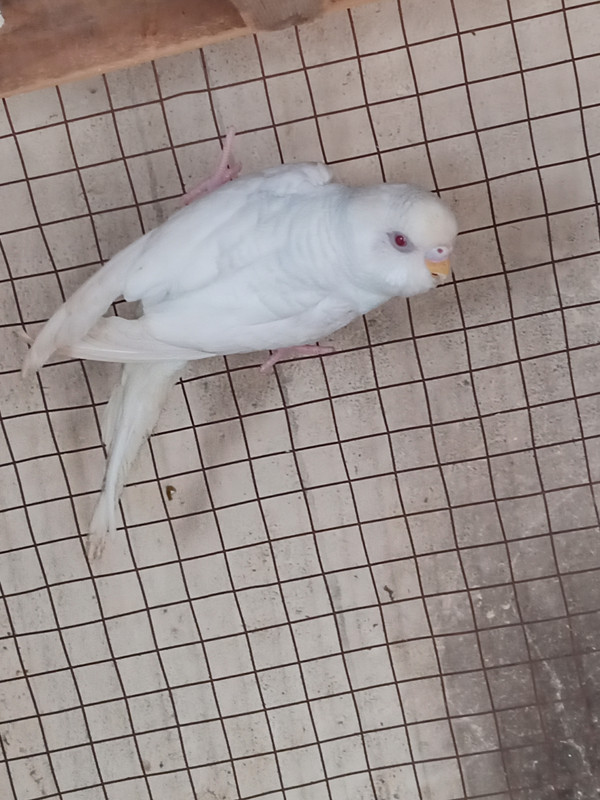 IMG_٢٠١٩١٢٣١_١٢٠٧١٤