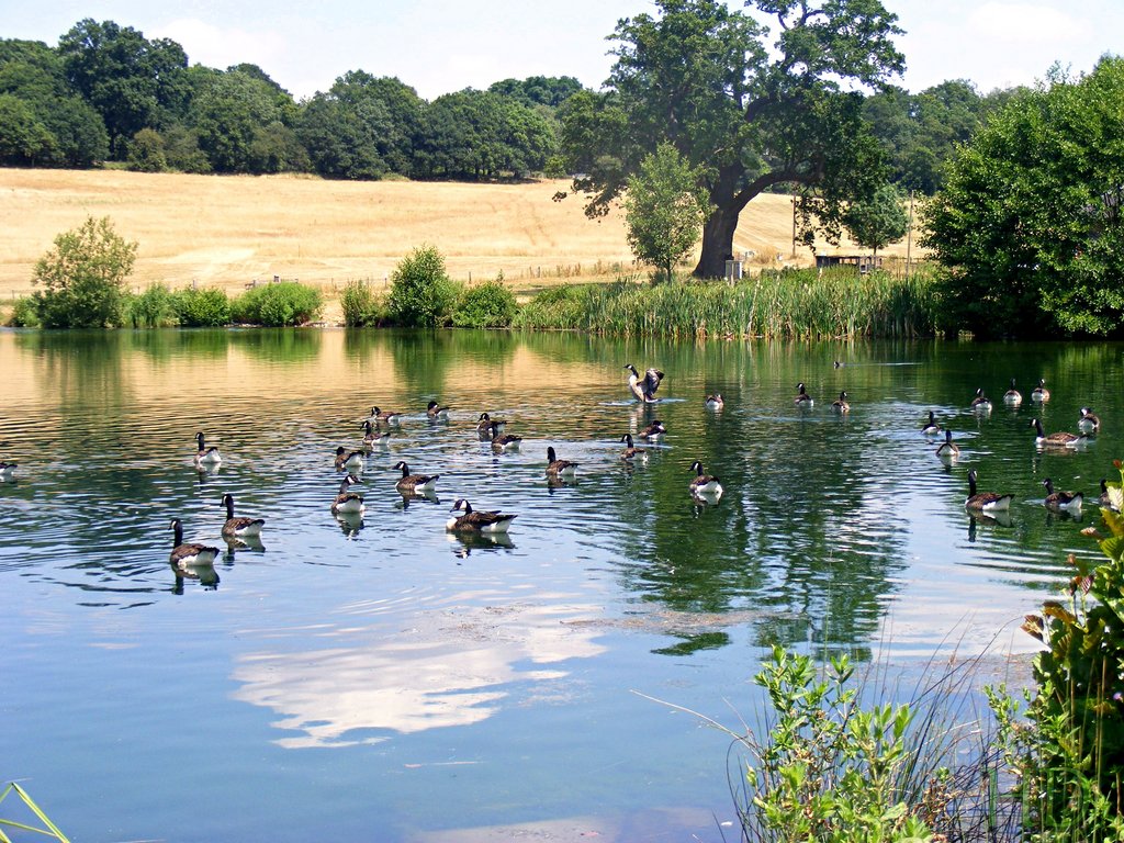 P-lake-HD.jpg