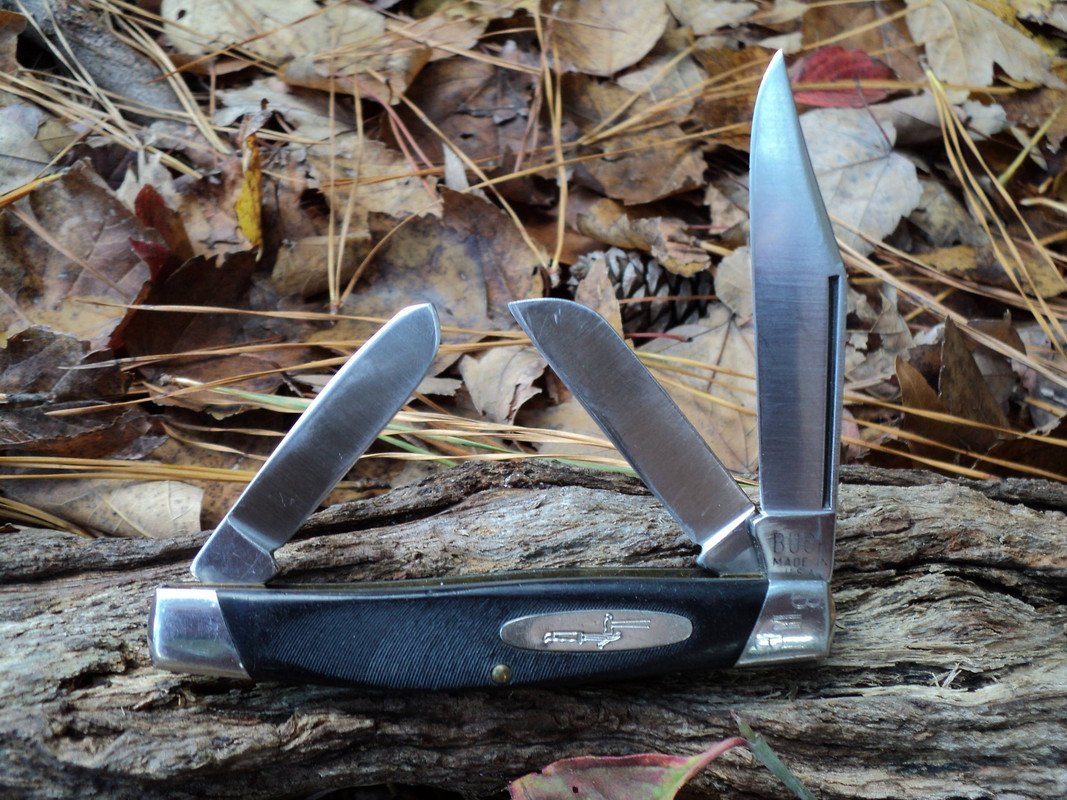 Buck-301-early-1973.jpg