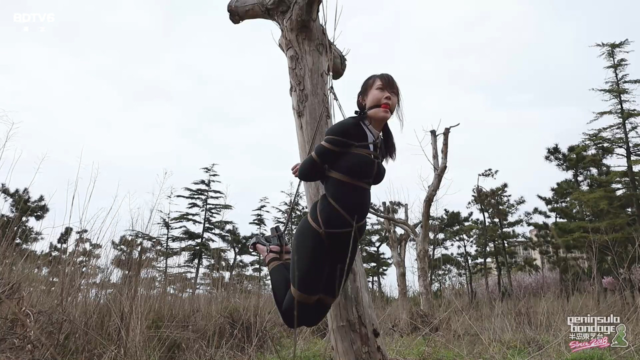 半岛束艺 波雅的宠物圈在继续扩大~泽爱.mp4_20240505_132939.661