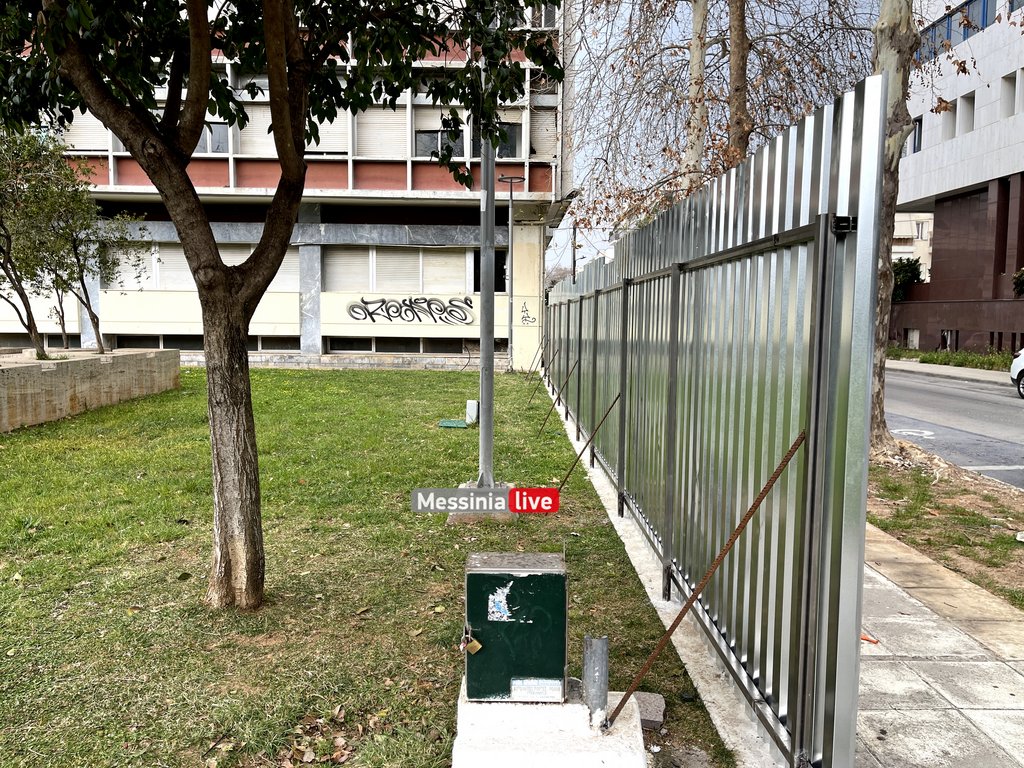 DIOIKimage00011