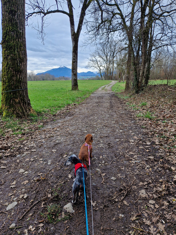 [Image: 20230319-155615.jpg]