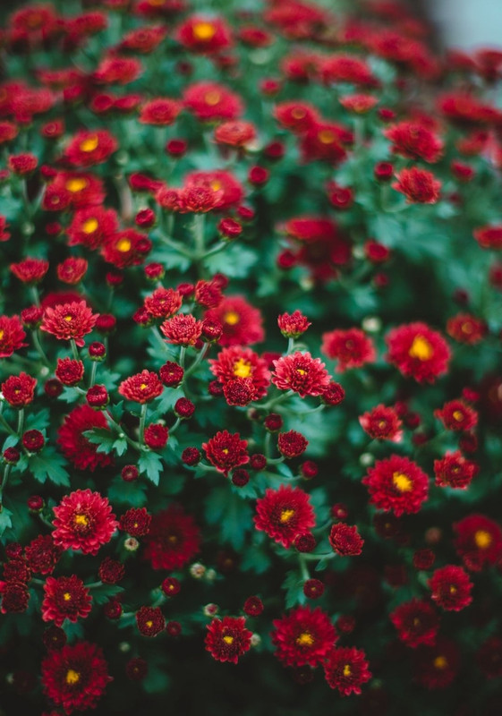 Screenshot_20240424_214415_Threads