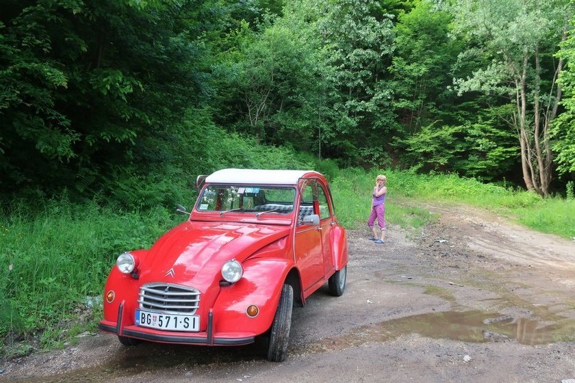 Travnik2019