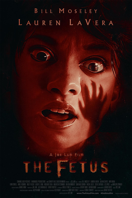 The Fetus 2025 Horror Movie Poster Supernatural Psychological Thriller
