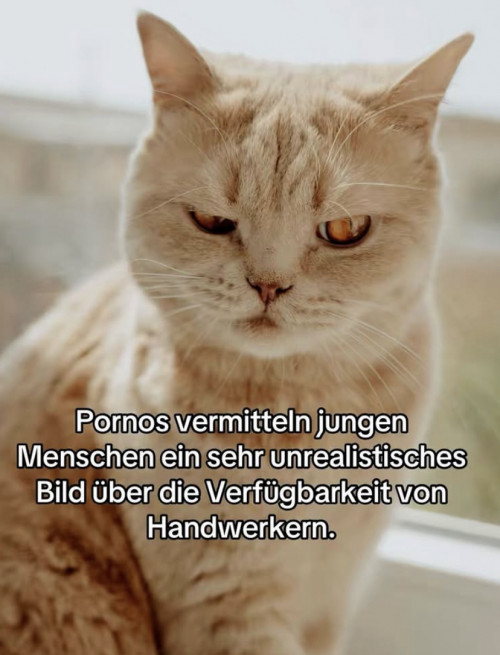 thumbs-picdump949-064.jpg
