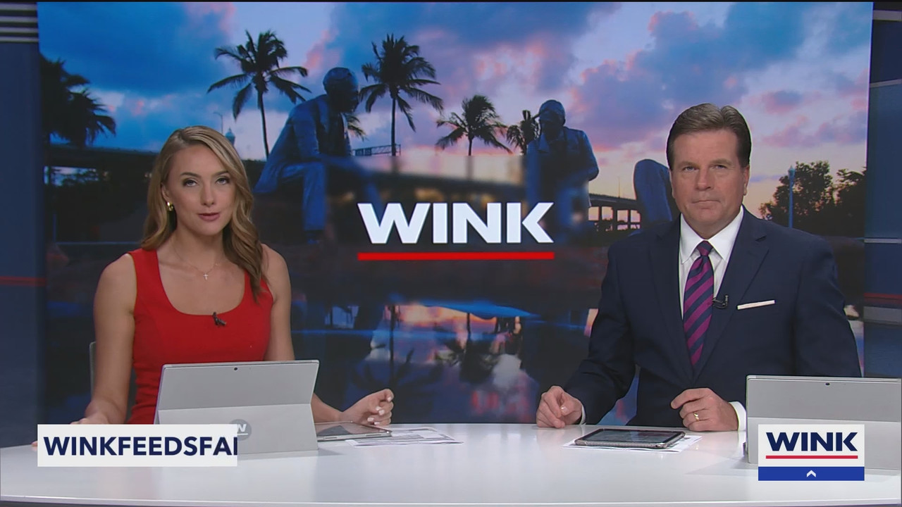WINK News at 11_20250204_04000435.ts_snapshot_25.20.763