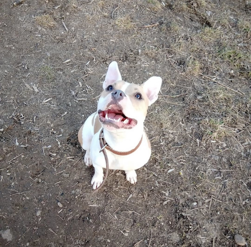 DC4816A3-95CD-48B3-A268-D53016F11E08