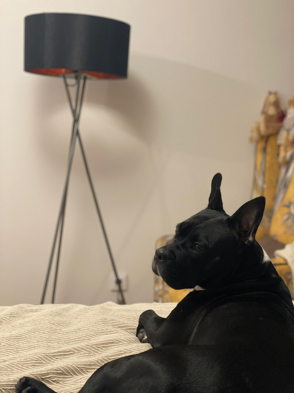 3DEF557D-AA8C-42E2-B654-1FEC6D0D5024