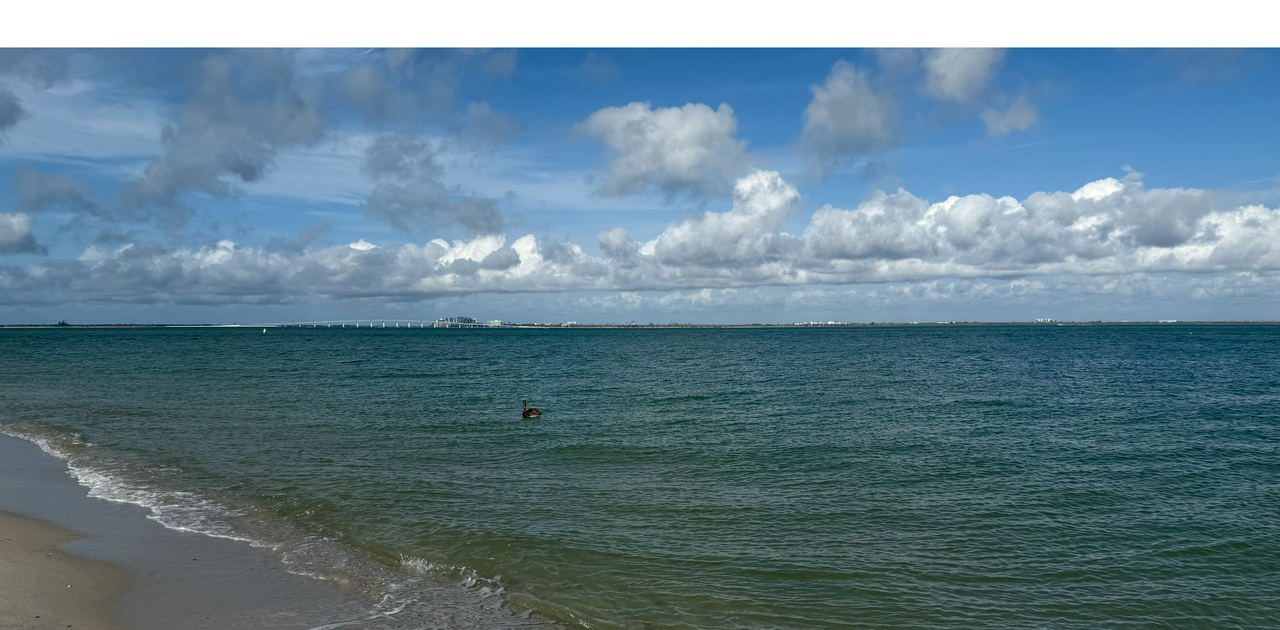 [Image: Sanibel-Causeway-Bridge2.png]