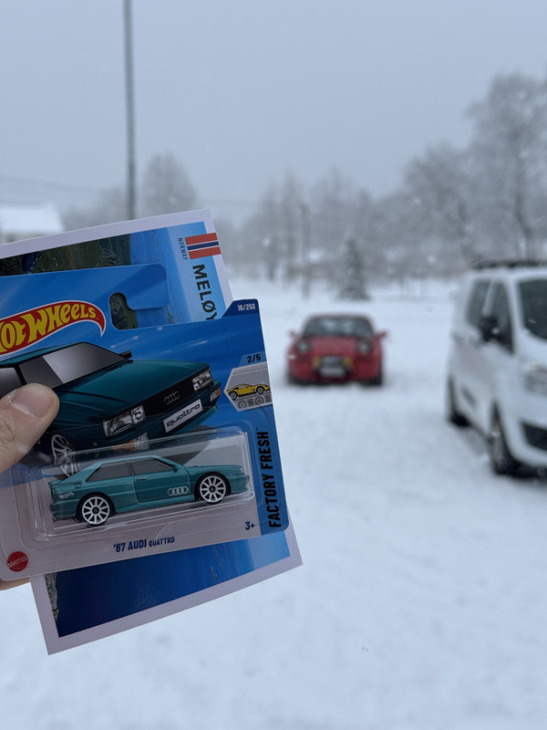 [Immagine: IMG-9105.jpg]