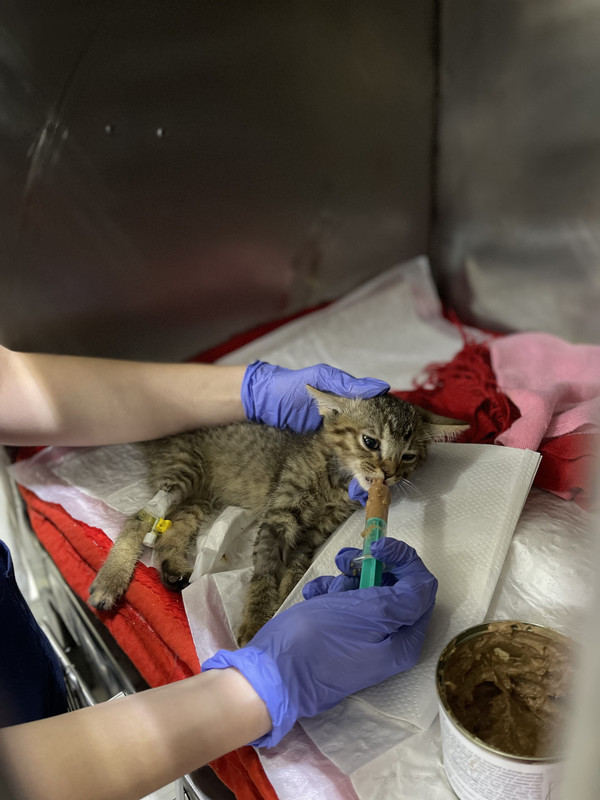 8FA87F68-984C-4165-AF1B-FE277D5E70A9