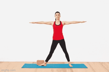 Triangle Pose / Utthita Trikonasana (Expert beginner level-IGIYS)