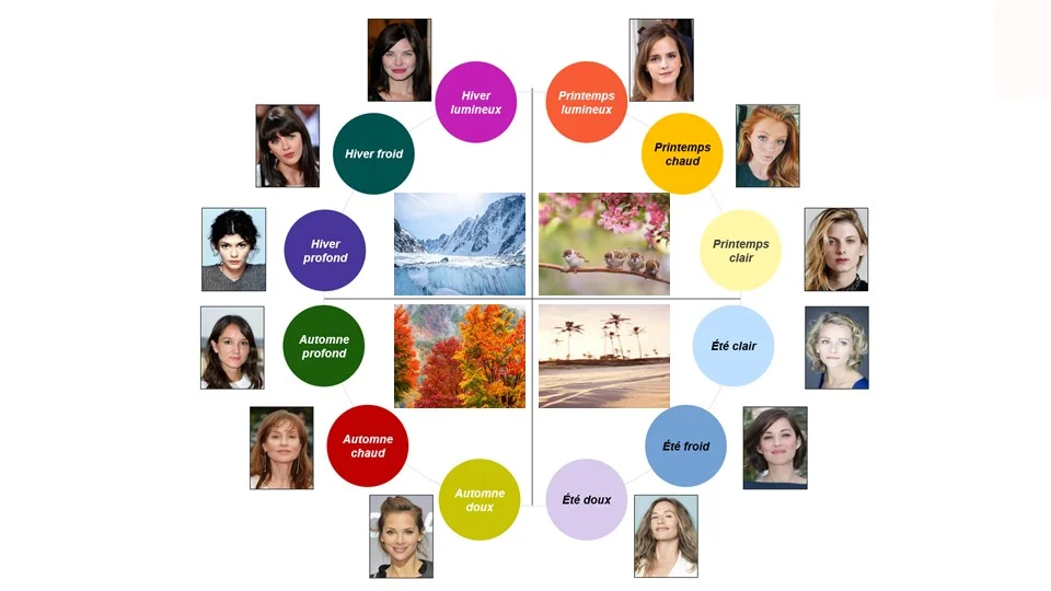 La roue des saisons : chaque saison de colorimétrie se décline en 3 sous-types, formant au total 12 palettes uniques adaptées à chaque femme. 