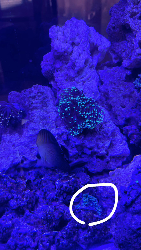 3E3AC6D8-56B6-4414-9233-087C97480106