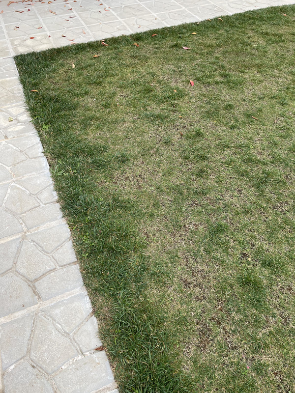 9A0BCF95-DF81-48E5-B94D-AD0A336BAC48