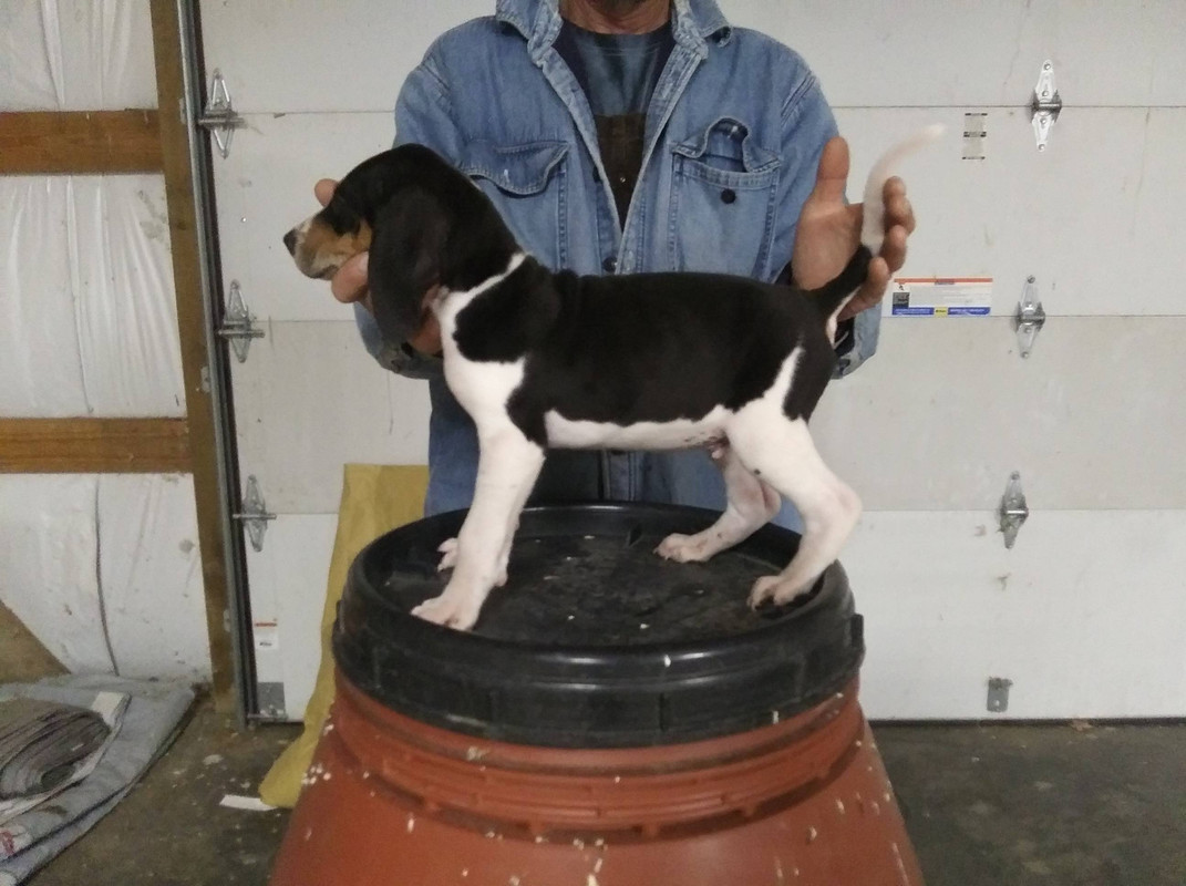 D7ECF500-6A63-4B30-935E-4F2656D07DCF