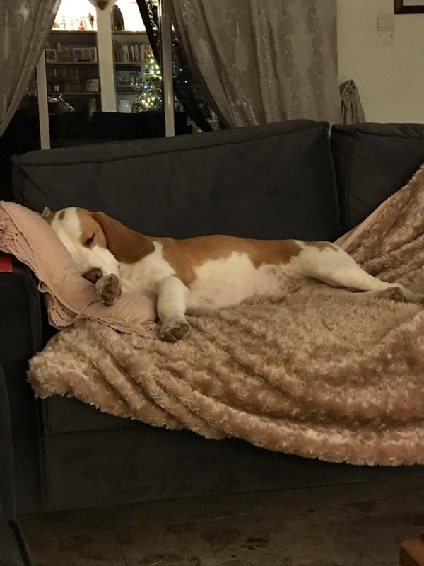 [Image: IMG-4983.jpg]