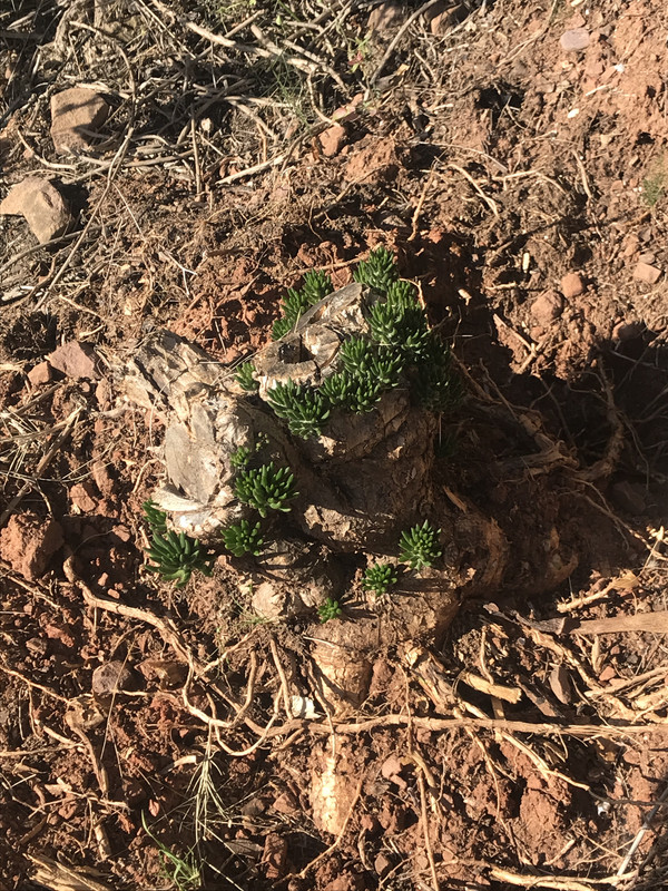 AD9C0E73-FD43-47F6-B775-9695556145B3