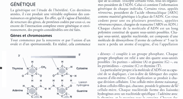 Les prérequis en ophtalmologie