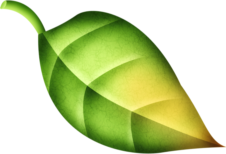 Pumpkinfairykitpudnelve5