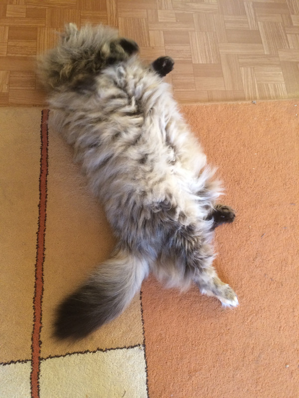 35891B25-8787-4684-818A-F0082871ABC0