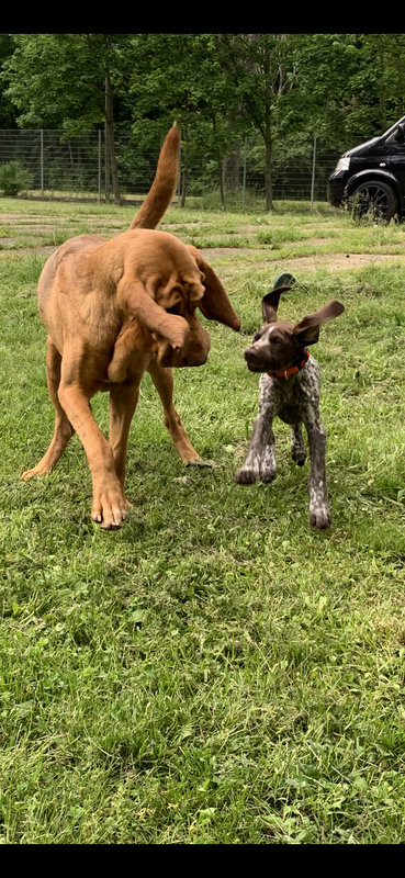 9BCC5B78-A752-45BB-911F-67AE2D13C7AF