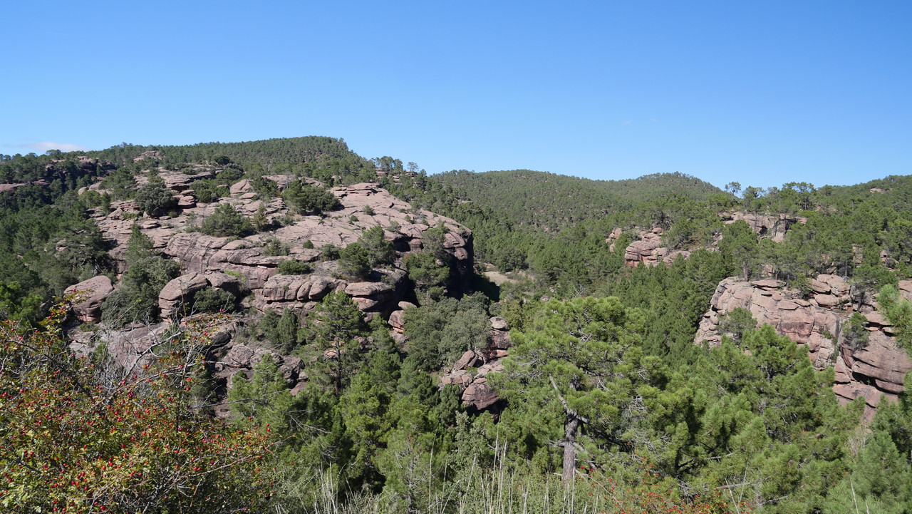 F4D26DE2-E6C0-4A70-8112-FD4F2D6F2E1B