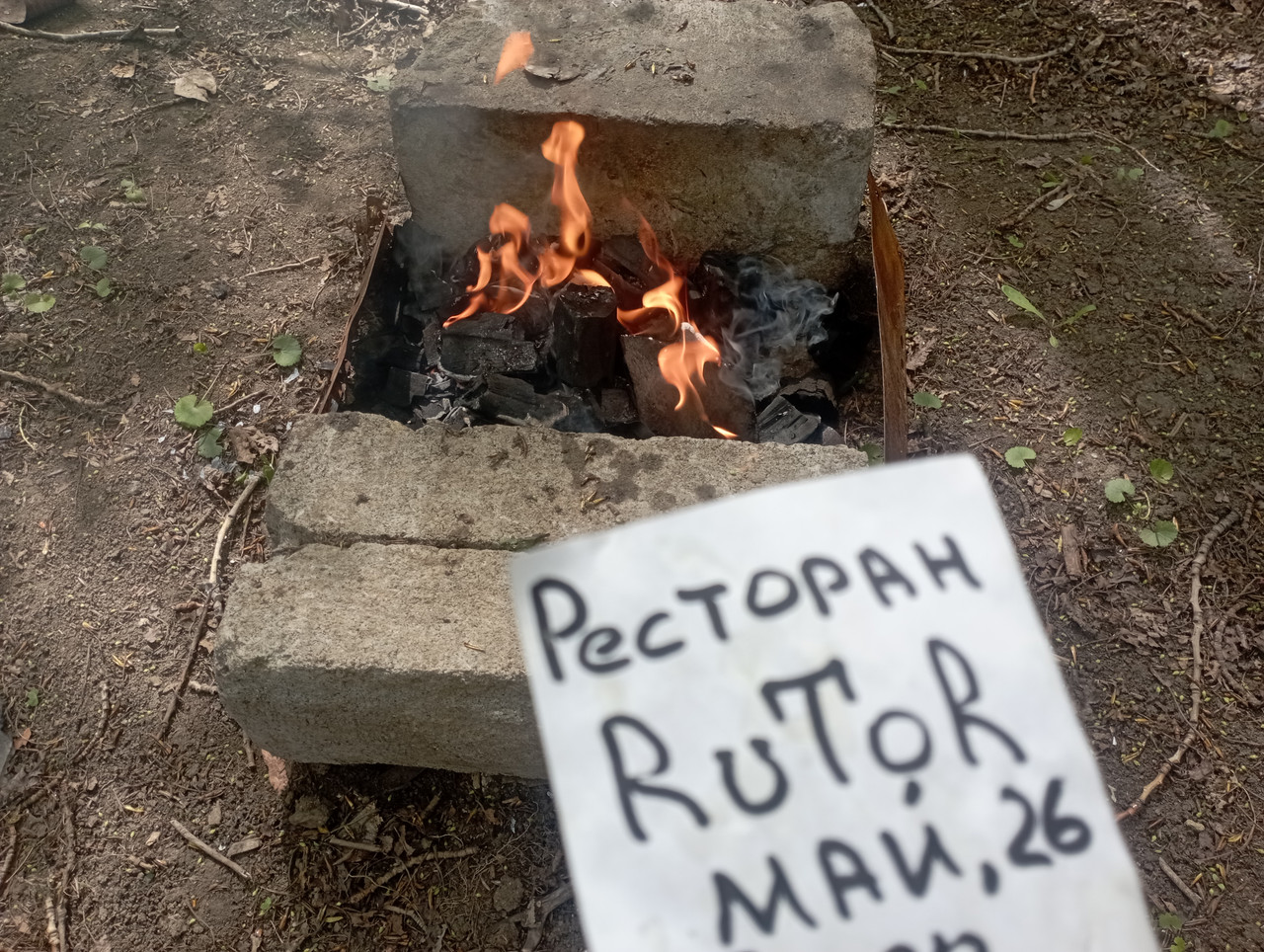 IMG-20260515-125004.jpg