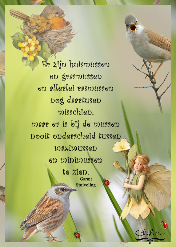 mussen
