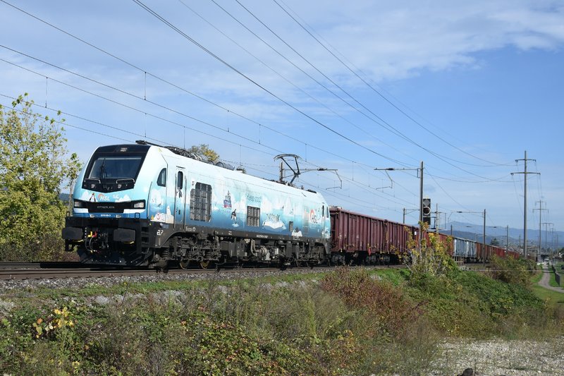 DSC-9614-2019-319-a-Pratteln-Salina-Raur