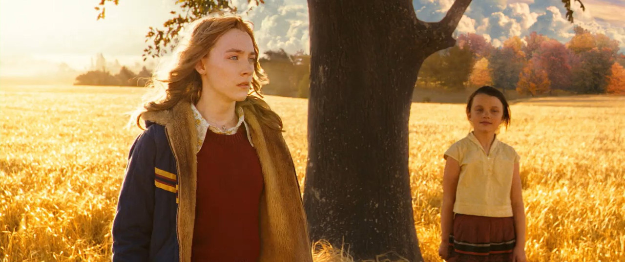The Lovely Bones 2009 BluRay [Hindi + English] 480p, 720p ESub Screenshot