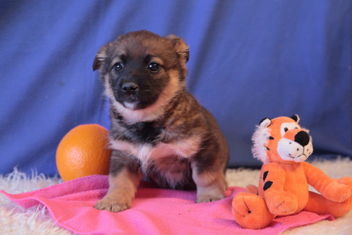 A45FE850-70C1-495C-8F38-B26D54B7C2E1