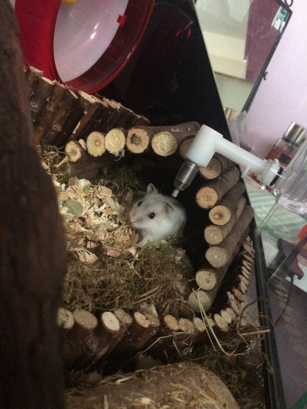 430C8339-8DEE-4ED0-A0CD-69844DB75485