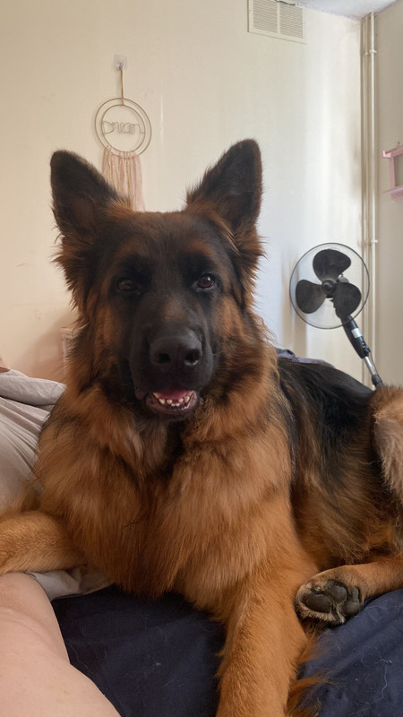 40FDFCA2-EF6E-495C-BD73-104DD8C7F941