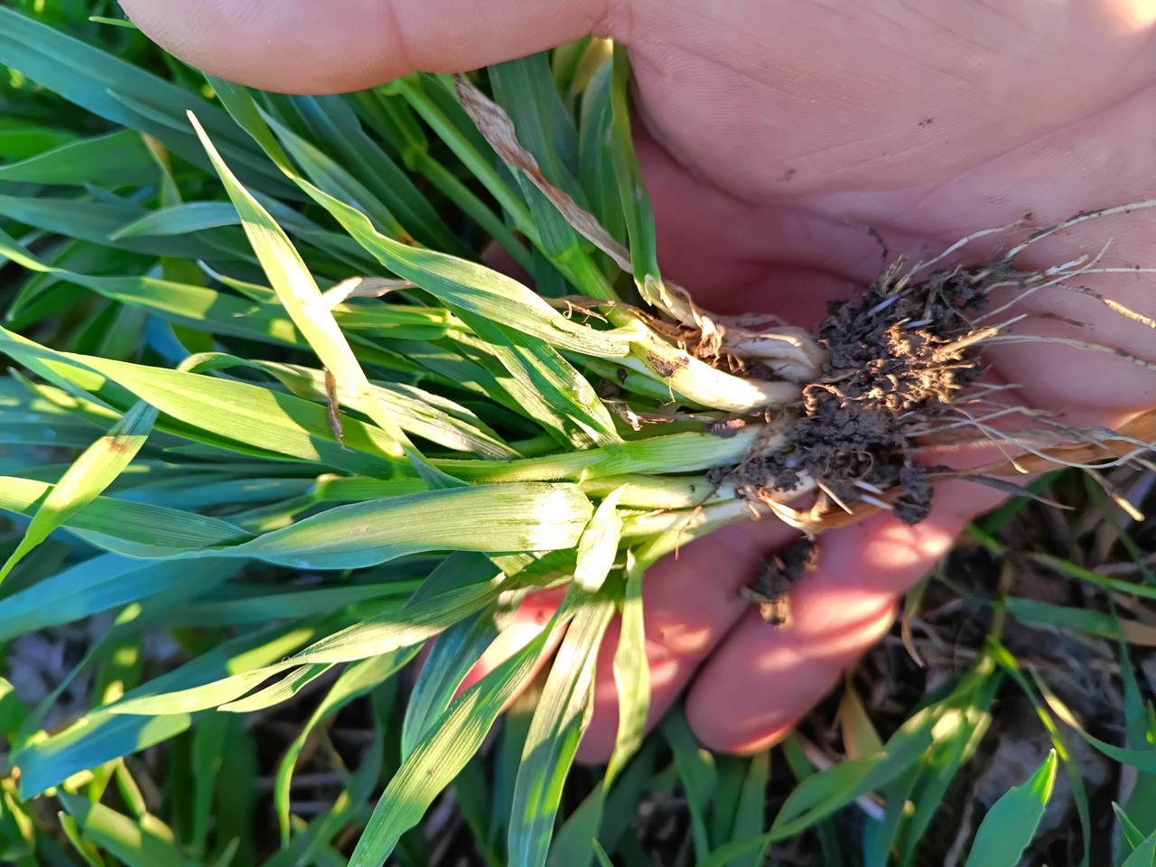 IMG 20260308 162640 660