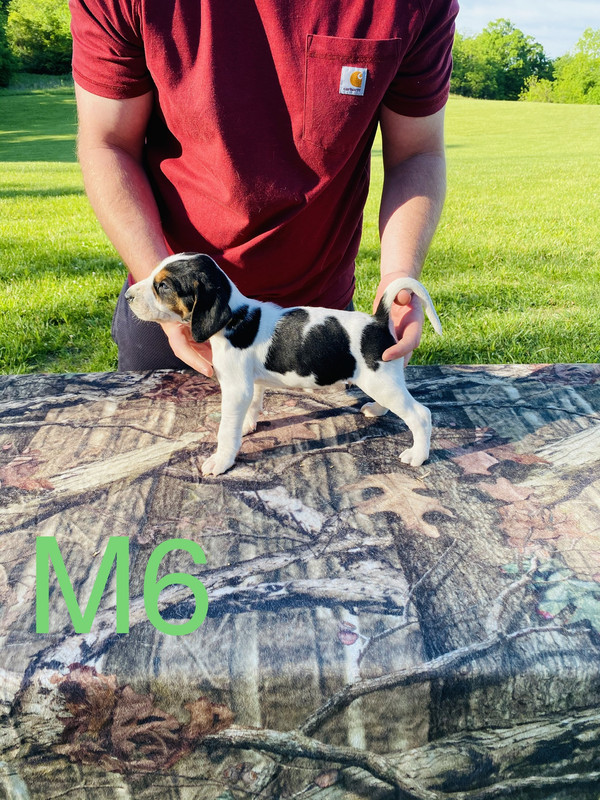 284771CB-66DB-412A-ABE2-7206480D9B09