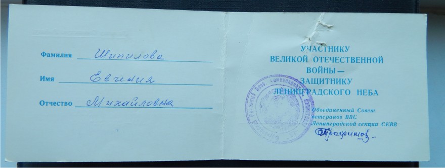 защитнику_лен_неба_42-82_2