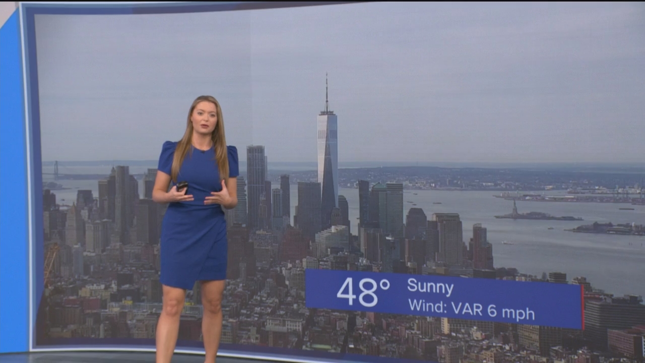 Eyewitness News This Morning_20250322_13001400.ts_snapshot_00.19.57.912