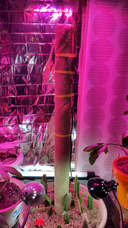 20150512_024153