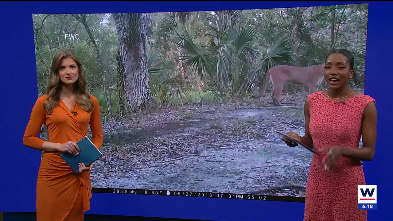 03.09 - 11.00.01 - WINK NEWS at 6 00am Saturday. Saturday morning new....ts_snapshot_00.21.51.407